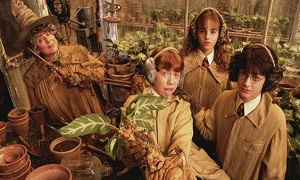 herbology