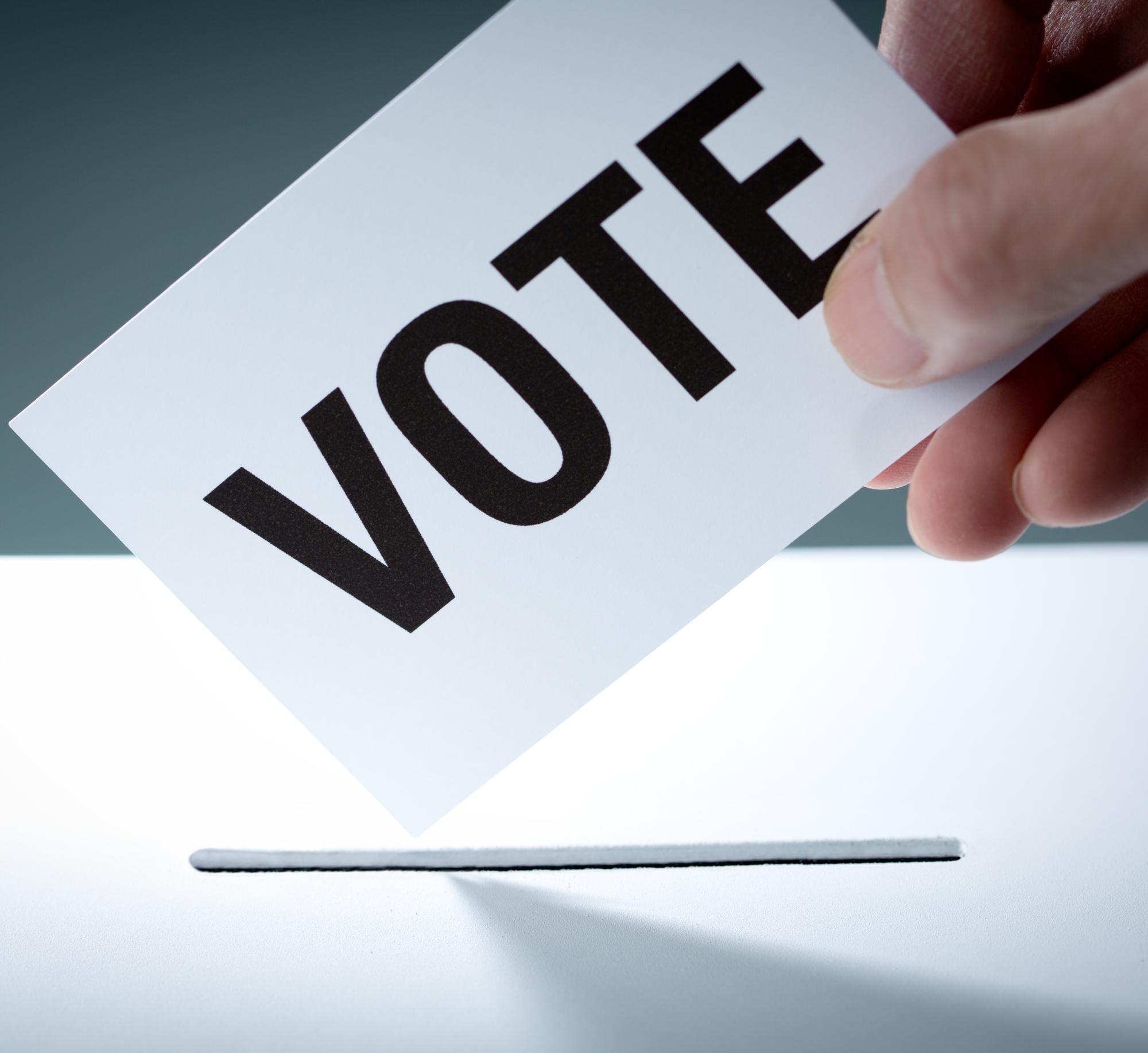 election website ui/ux
